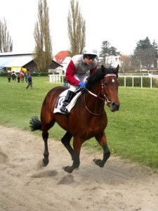 Obrazek